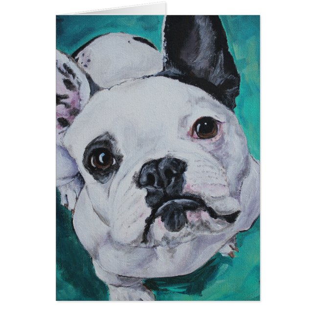Portrait d'animal familier - bouledogue français (Devant)