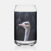 portrait d'autruche (Verso)