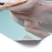 Portrait de bébé Axolotl – Décoration murale d'ani (Coin)