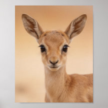 Portrait de bébé gazelle – Décoration murale d'ani