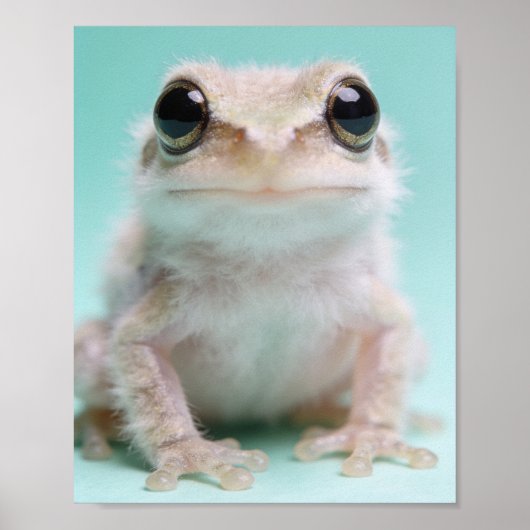 Portrait de bébé grenouille – Art mural de la nurs (Devant)