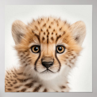 Portrait de bébé guépard mignon | Affiche carrée 1
