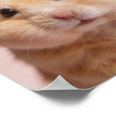 Portrait de bébé hamster – Décoration murale d'ani (Coin)