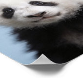 Portrait de bébé panda - Art mural d'animal de nur (Coin)