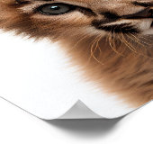 Portrait de bébé puma mignon | Affiche carrée 1:1 (Coin)