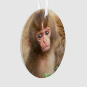 Portrait de bébé singe des neiges (devant)