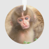 Portrait de bébé singe des neiges (dos)