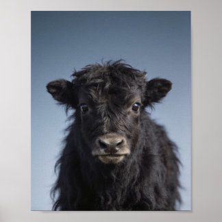 Portrait de bébé yak – Art mural d'animal de nurse