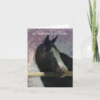 PORTRAIT DE CHEVAL CARTE DE NOTE ANIMALE
