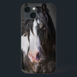 Portrait de cheval II<br><div class="desc">Animaux</div>