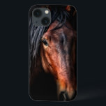 Portrait de cheval VII<br><div class="desc">Animaux</div>