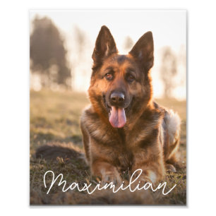 Portrait de chien personnalisé avec photo et nom