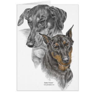 Portrait de deux Dobermans