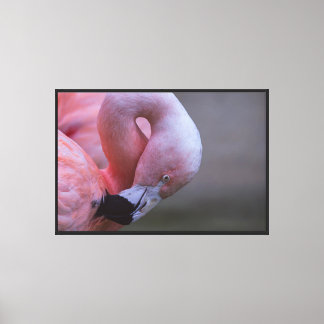 Portrait de flamant rose sur toile tendue