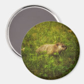 Portrait de fond dans un aimant de champ (Recto/Verso)