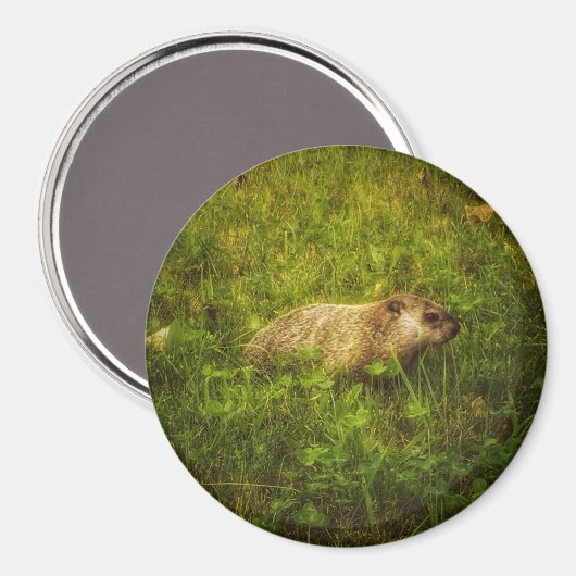 Portrait de fond dans un aimant de champ (Recto/Verso)