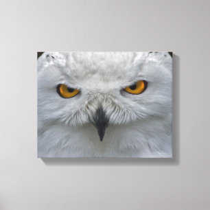 Portrait de Harfang des neiges sur toile encadrée