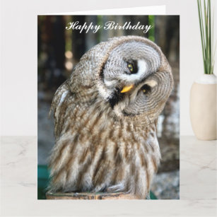 Cartes Hibou D Anniversaire Zazzle Be