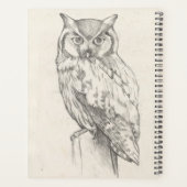 Portrait de hibou - Croquis (Dos)