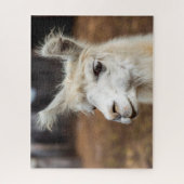 Portrait de lama blanc, puzzle (Vertical)