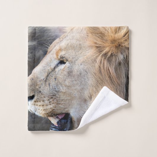 Portrait de Lion (Gant de toilette)
