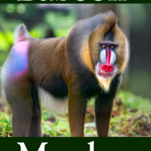 Portrait de Mandrill en Puzzle