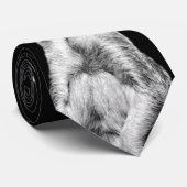 Portrait de Meerkat sur la cravate noire (Roulé)