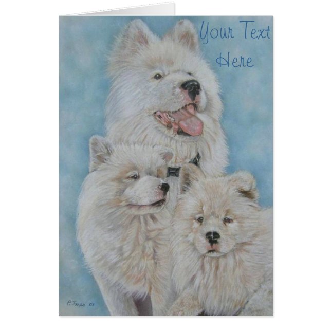 portrait de mignon blanc long manteau akita chien (Devant)