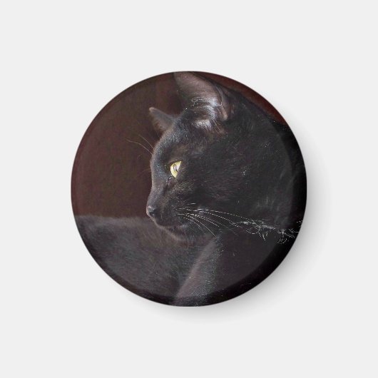 Portrait de mon garçon, Charlie Magnet (Devant)