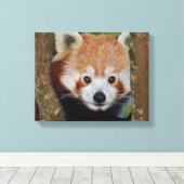 Portrait de panda sur toile (Insitu (Plancher de Bois))