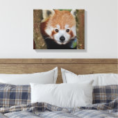 Portrait de panda sur toile (Insitu(Chambre))