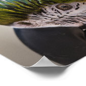 Portrait de perroquet Macaw - Impression d'art fin (Coin)