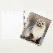 Portrait de Seal Pup sur la plage (Devant avec enveloppe)