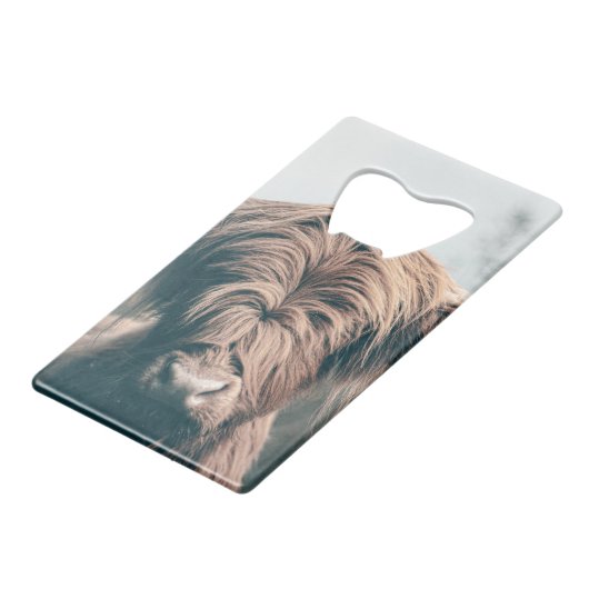 Portrait de vache Highland (Devant Angle)