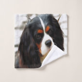 Portrait d'Espagne (Gant de toilette)