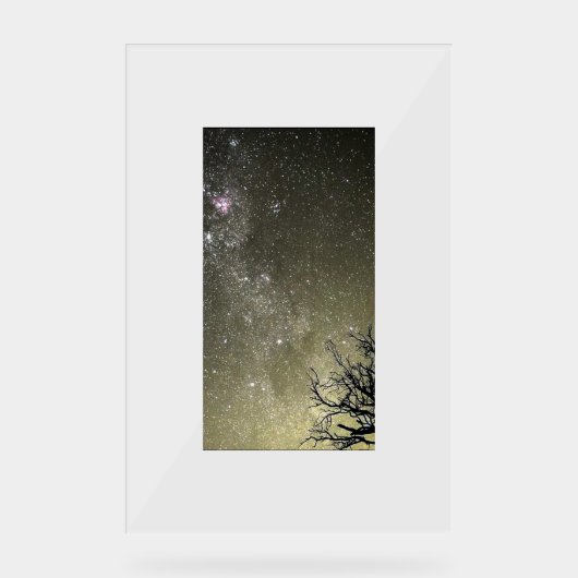 Portrait d'évasion lunaire par Chrome Kitten (Recto)