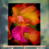 Portrait d'Orchidée Cattleya (Neutre)
