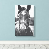 Portrait du cheval noir et blanc - toile photo Imp (Insitu (Plancher de Bois))