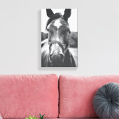 Portrait du cheval noir et blanc - toile photo Imp (Insitu(Salon))