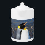 Portrait du Pingouin<br><div class="desc">This Image, quoi d'autre.
Image © Angelika Stern</div>