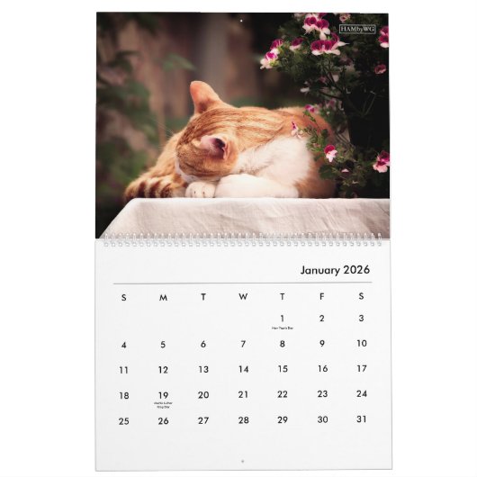Portrait d'un calendrier de chat - HAMbyWG (Jan 2026)