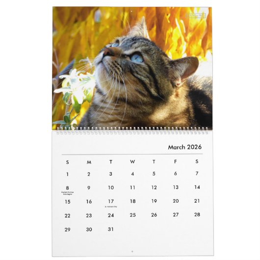 Portrait d'un calendrier de chat - HAMbyWG (Mar 2026)