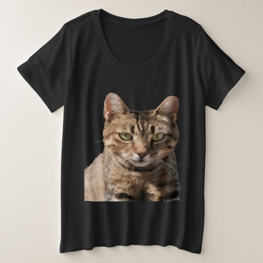 Portrait d'un chat tabby mignon avec contact visue (Design devant)