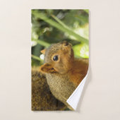 Portrait d'un écureuil Nature Animal Photographie (Serviette à main)