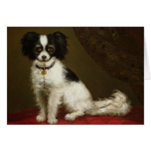 Portrait d'un épagneul