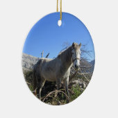 Portrait d'un ornement de cheval (Droite)