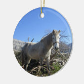 Portrait d'un ornement de cheval (Gauche)