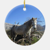 Portrait d'un ornement de cheval (Dos)