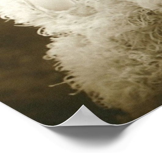 Portrait d'une affiche de danseur (Coin)