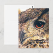 Portrait d'une carte postale de hibou de l'aigle (Devant / Derrière)